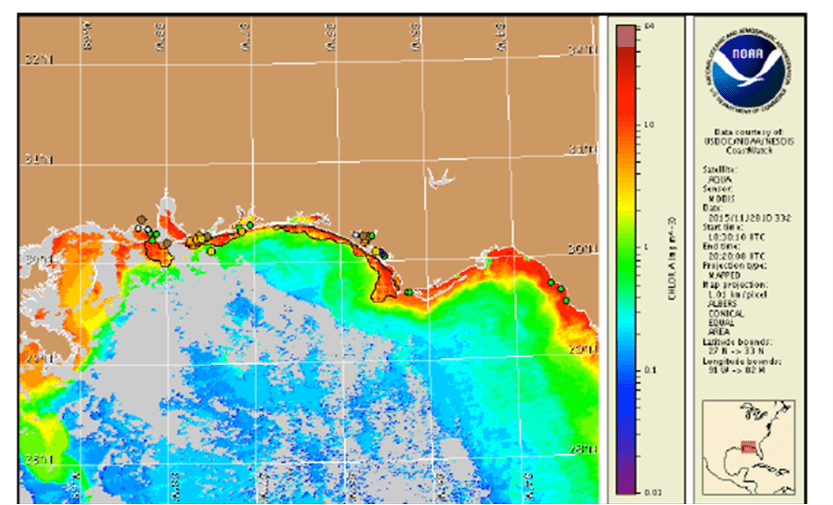 Harmful Algal Bloom Monitoring and Forecasting in the Gulf of Mexico