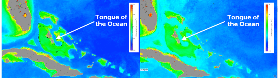 Two-panel plot showcases the seasonal changes regarding the Tongue of The Ocean