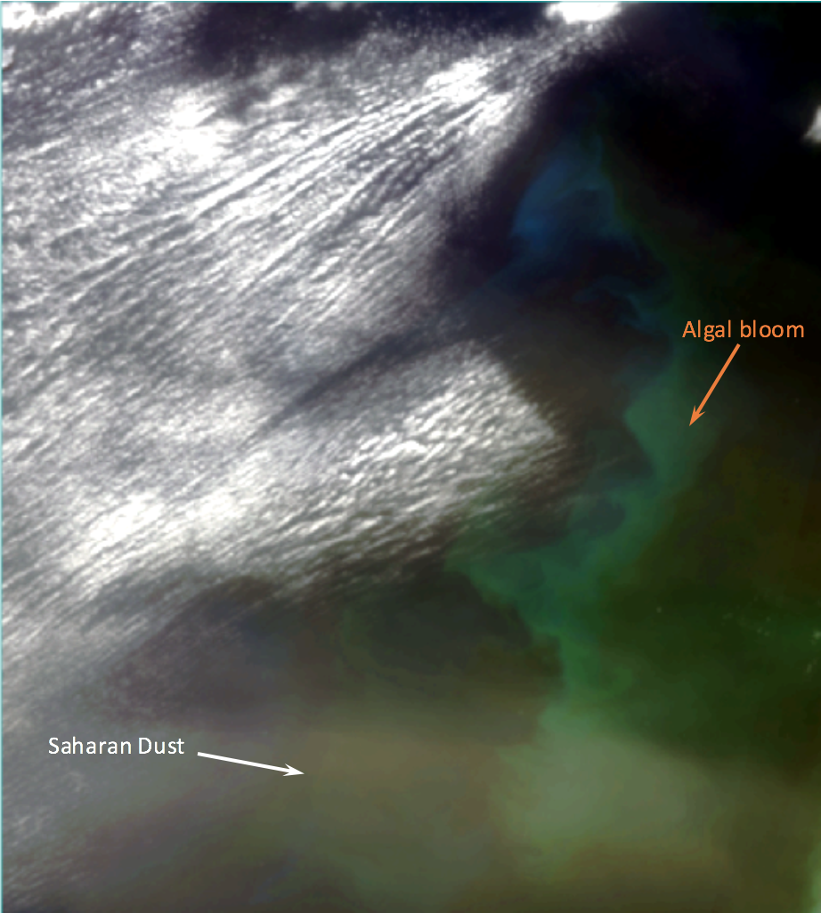 Visible satellite image of Algae bloom fueled by Saharan dust over the Atlantic Ocean