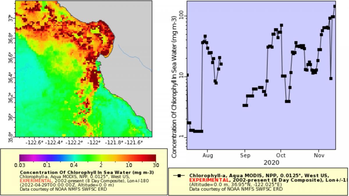 Map projection and time series of chlorophyll-a concentrations over the Pacific Ocean off the coast of Southern California