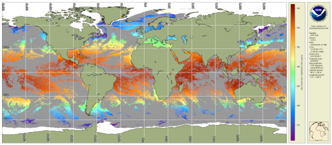 Global map projection display SST data