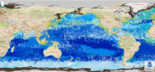 Map of Global Seascape classifications 