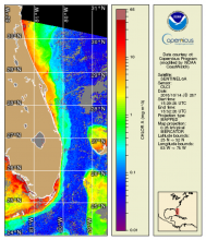 Map projection over Eastern Florida displaying chlorophyll-a concentration