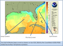 Infographic showing the Gulf of America Loop Current and Gulf Stream