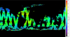 Global map projection displaying sea surface temperature with rainbow color bar